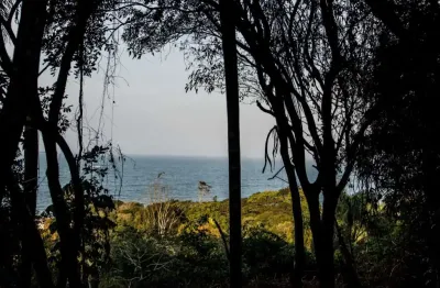 Terreno à venda no armação do pântano do sul, florianópolis  por r$ 3.200.000
