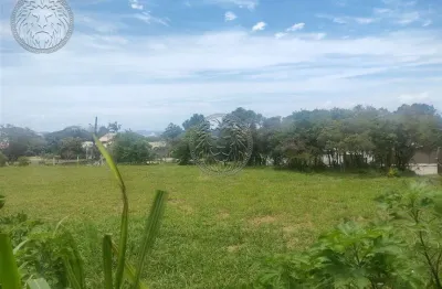 Terreno comercial para alugar no campeche, florianópolis  por r$ 20.000