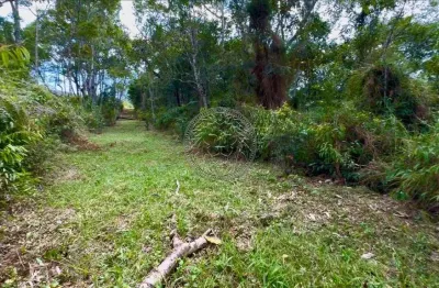 Terreno em condomínio fechado à venda no centro, paulo lopes  por r$ 1.040.000