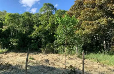 Terreno à venda, 450 m² por r$ 35.000,00 - centro - torreões (juiz de fora)/mg