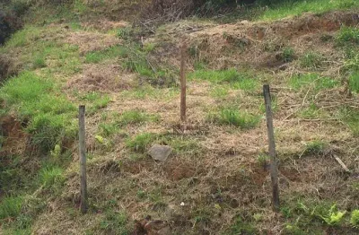 Terreno à venda, 506 m² por r$ 180.000 - santos dumont - juiz de fora/mg