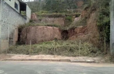 Terreno à venda, 312 m² por r$ 80.000,00 - grama - juiz de fora/mg