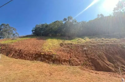 Terreno à venda, 440 m² por r$ 255.000,00 - spinaville - juiz de fora/mg