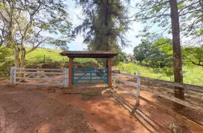 Sítio com 4 dormitórios à venda, 65000 m² por r$ 750.000 - zona rural - rio novo/mg