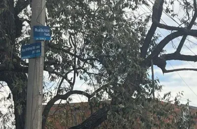 Terreno à venda no Jardim Sul América, Campinas 