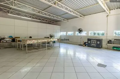 Galpão para venda e locação, vila ipojuca, são paulo, sp