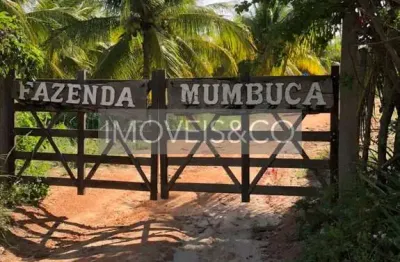Espetacular: fazenda com vista para o mar, à venda em conde-ba, barra do itariri - 2 quartos, 2 banheiros, 10 vagas de garagem, 649.000,00 m² de área!