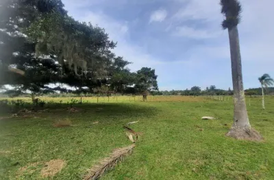 Sítio à venda no bairro são francisco com 25000 m² de área privativa