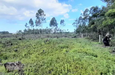 Área de terra à venda no bairro curralinhos com 3092 m² de área privativa