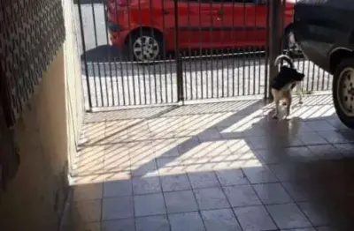 Sobrado com 3 quartos e 2 banheiros à venda, 120 m² por r$ 580.000