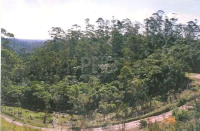 Terreno de 8.080 m² em ribeirão pires - com excelente localização. próximo a rodovia índio tibiriçá.
