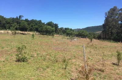 Sítio à venda, 1200 m² por r$ 104.000,00 - lomba grande - novo hamburgo/rs