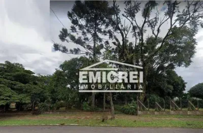Terreno à venda, 1700 m² por r$ 1.280.000,00 - santa teresa - são leopoldo/rs