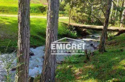 Chácara com 3 dormitórios à venda, 20000 m² por r$ 345.000,00 - campinas - rolante/rs
