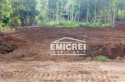 Emicrei vende chácara, 10000m² por r$ 148.000 - campinas - rolante/rs