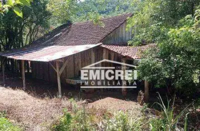 Emicrei vende chácara com 01 dormitório, 10000 m² por r$ 148.000 - campinas - rolante/rs