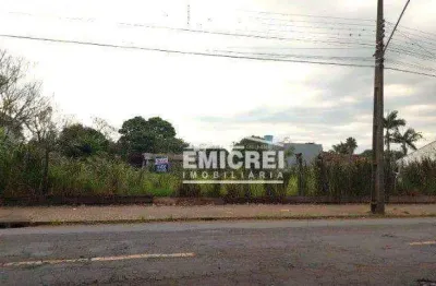 Terreno à venda, 995 m² por r$ 479.000,00 - feitoria - são leopoldo/rs