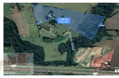 Chácara / sítio com 4 quartos à venda na Cesário Lange, Aleluia, Cesário Lange