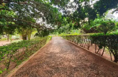 Chácara / sítio com 3 quartos à venda na Rua das Rosas, Parque das Flores I, São José do Rio Preto