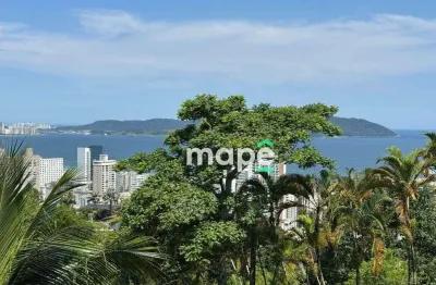 Terreno à venda, 734 m² por r$ 2.450.000,00 - morro santa terezinha - santos/sp