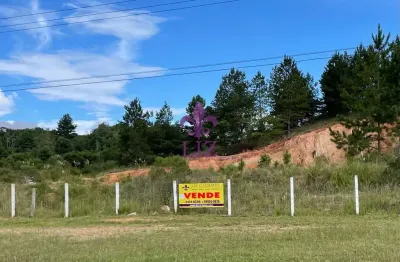 Terreno à venda na Rua Catarina knapik, Área Industrial, Quatro Barras