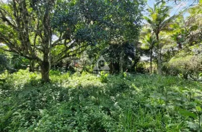 Oportunidade única: terreno plano de 1560 m² na estrada do pontal