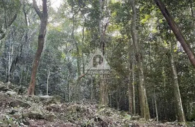 ## **lote de terreno em são conrado – 2.400 m² | rgi ok | vista mar e natureza**