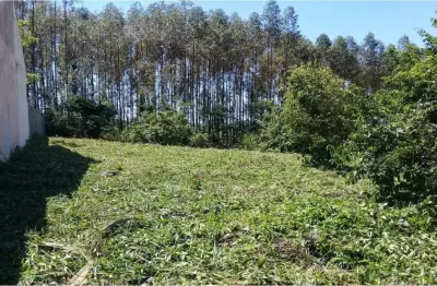 Terreno à venda na rua condpesca e lazer barra do ivaí, zona rural, quinta do sol por r$ 300.000