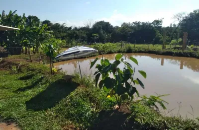 Excelente chácara em doutor camargo, a apenas 2 km da cidade