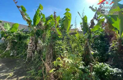 Terreno à venda, 250 m² por r$ 148.000,00 - balneário paranapuan - itanhaém/sp