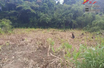 Terreno à venda, 1000 m² por r$ 180.000 - umuarama - itanhaém/sp