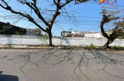 Terreno à venda, 1450 m² por r$ 1.500.000,00 - jd suarão - itanhaém/sp