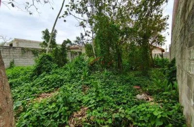 Terreno à venda, 253 m² por r$ 125.000,00 - jardim itapel - itanhaém/sp