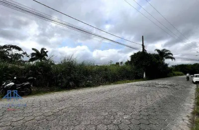 Terreno à venda, 12000 m² por r$ 4.000.000,00 - ratones - florianópolis/sc