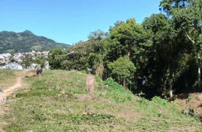 Terreno à venda, 22622 m² por r$ 27.000.000,00 - saco dos limões - florianópolis/sc
