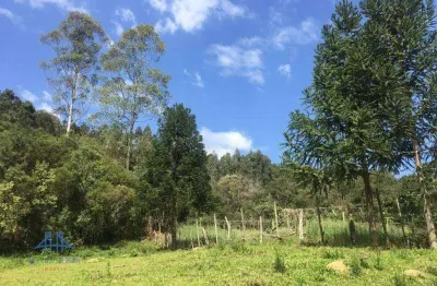 Terreno à venda, 152000 m² por r$ 1.500.000,00 - centro - anitápolis/sc