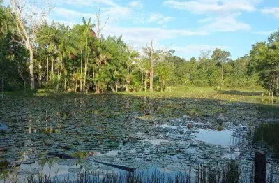 Fazenda à venda, 2190000 m² por r$ 4.000.000,00 - alça viaria - acará/pa