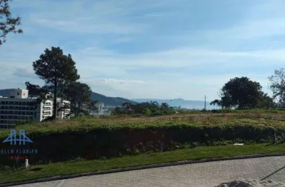 Terreno à venda, 505 m² por r$ 1.198.000,00 - itacorubi - florianópolis/sc