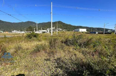 Terreno à venda, 459 m² por r$ 490.000,00 - vargem grande - florianópolis/sc