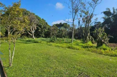 Terreno à venda, 3000 m² por r$ 1.400.000,00 - ratones - florianópolis/sc