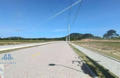 Terreno à venda, 385 m² por R$ 509.000,00 - São João do Rio Vermelho - Florianópolis/SC