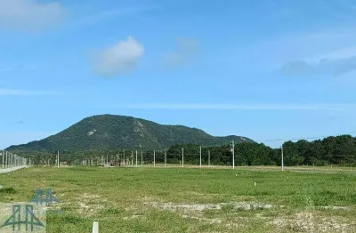 Terreno à venda, 600 m² por r$ 769.000,00 - são joão do rio vermelho - florianópolis/sc