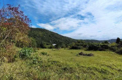 Terreno à venda, 26000 m² por r$ 4.580.000,00 - ingleses do rio vermelho - florianópolis/sc