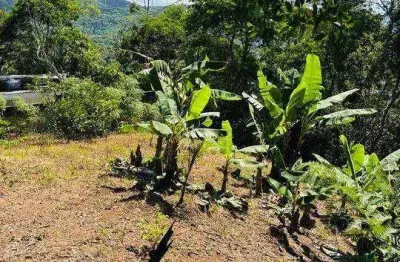 Terreno à venda, 525 m² por r$ 430.000,00 - córrego grande - florianópolis/sc