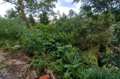 Terreno à venda, 2975 m² por r$ 4.490.000,00 - joão paulo - florianópolis/sc