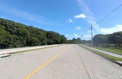 Terreno à venda, 609 m² por R$ 804.117,00 - São João do Rio Vermelho - Florianópolis/SC