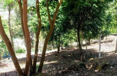 Terreno à venda, 1007 m² por r$ 999.000,00 - cachoeira do bom jesus - florianópolis/sc