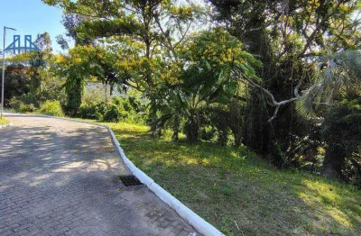 Terreno à venda, 450 m² por r$ 648.800,00 - ratones - florianópolis/sc