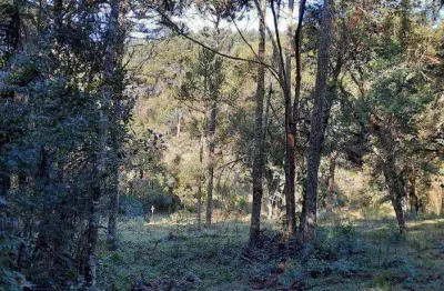 Terreno à venda, 27000 m² por r$ 455.000,00 - santo antônio - urubici/sc