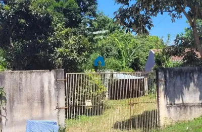 Terreno para venda em são josé dos pinhais, academia